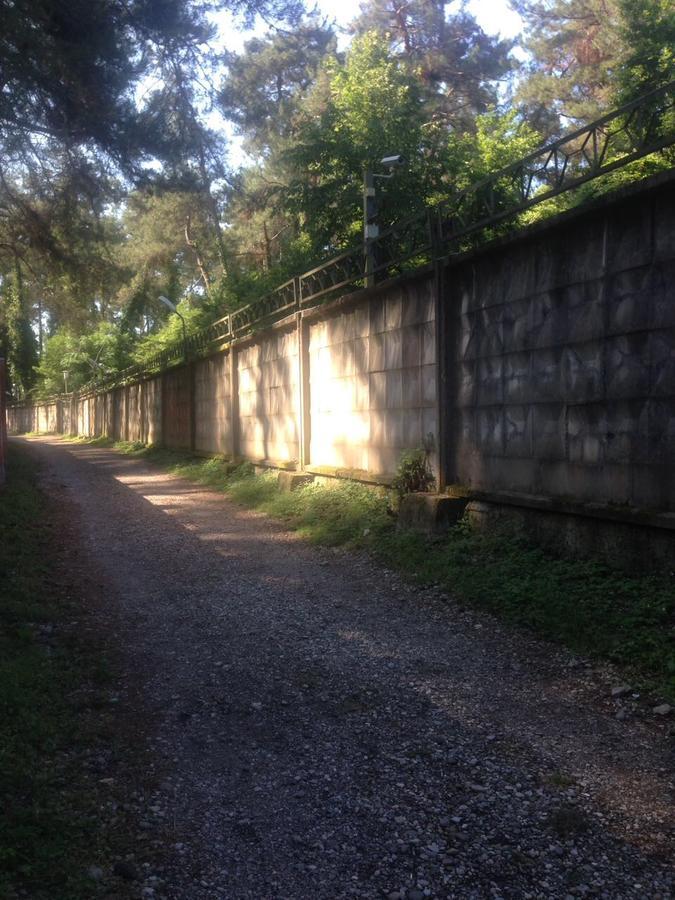 Guesthouse Tigranakert Pitsunda Dış mekan fotoğraf